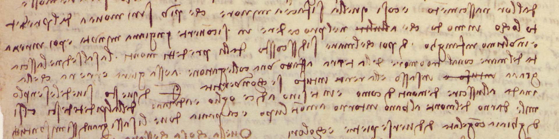 Codex Leicester, 31v