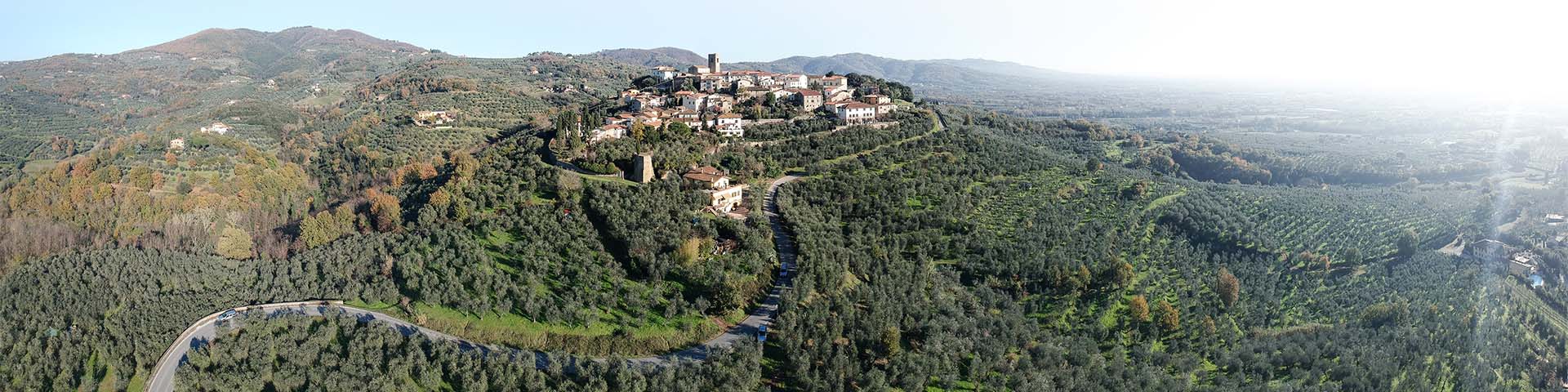 Montevettolini