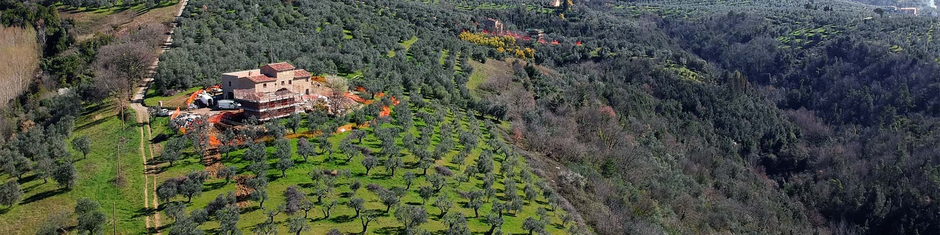 San Lorenzo in Arniano