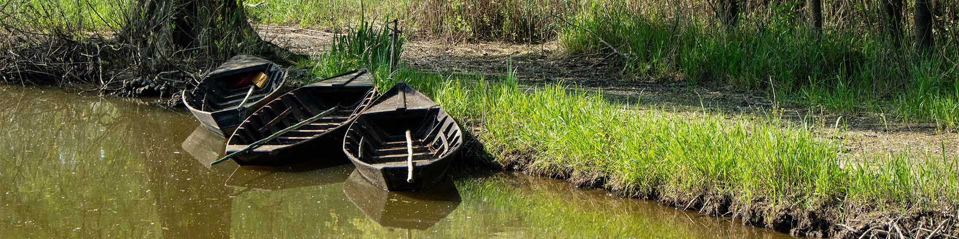 Padule di Fucecchio