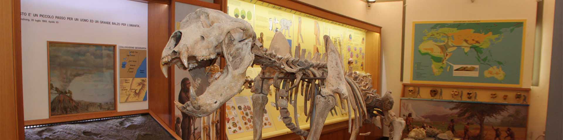 Museo Civico di Paleontologia di Empoli